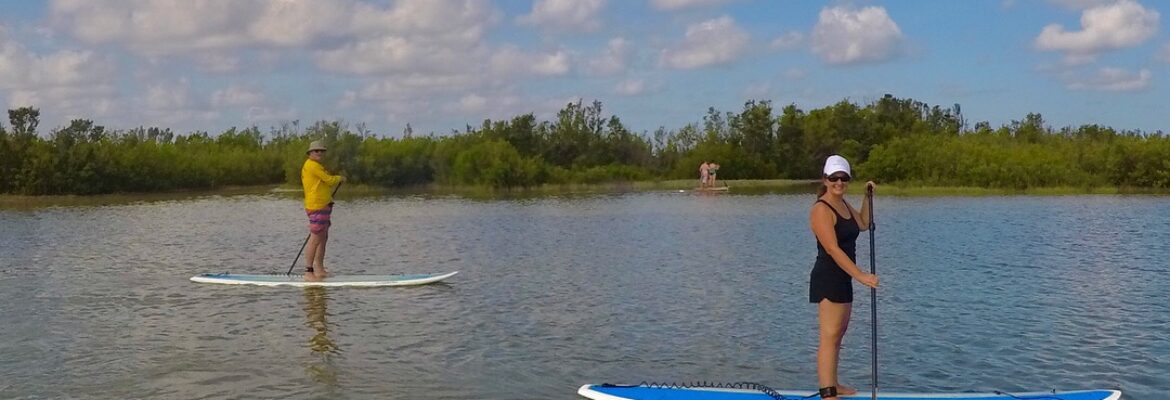 Tigertail Beach Paddleboard, Kayak & Beach Rentals
