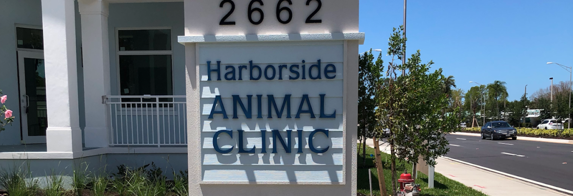 Harborside Animal Clinic