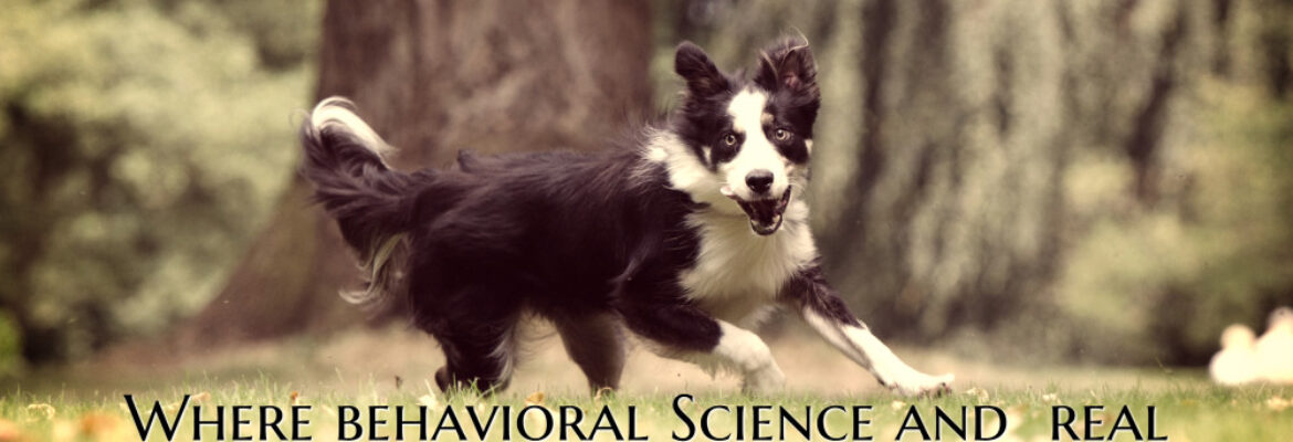 Canine Behavioral Services